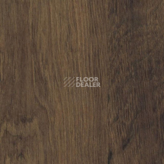 Ламинат Haro Daily Edition 8 mm 541348 Дуб Мора Дымчатый фото 1 | FLOORDEALER